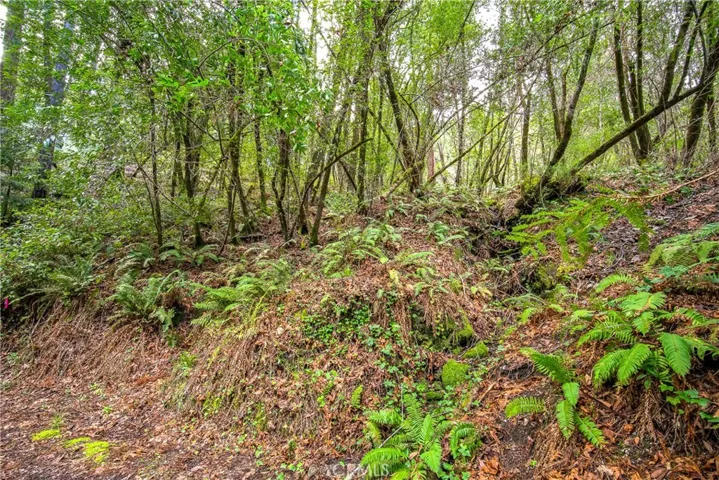 6185 Austin Creek Road, Cazadero, California 95421