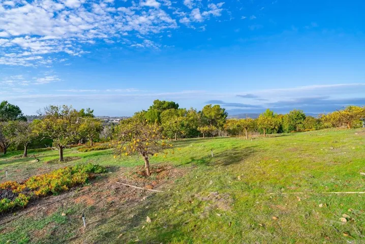 1505 La Plaza Drive, San Marcos, California 92078