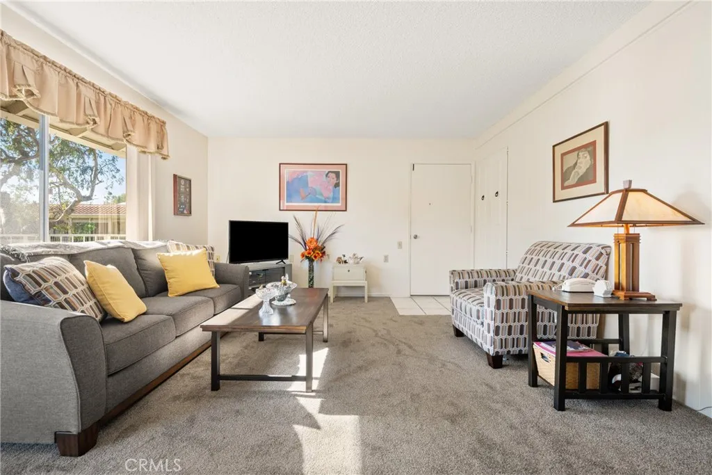 660 Avenida Sevilla P, Laguna Woods, California 92637 home-pic-1