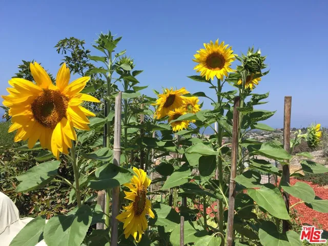 30963 Via La Cresta, Rancho Palos Verdes, California 90275
