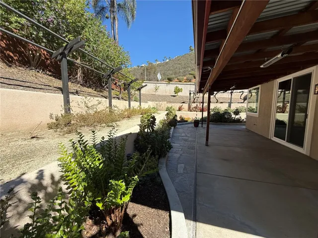 Tiered Backyard Including Citrus, Grapevines and Avocado Trees