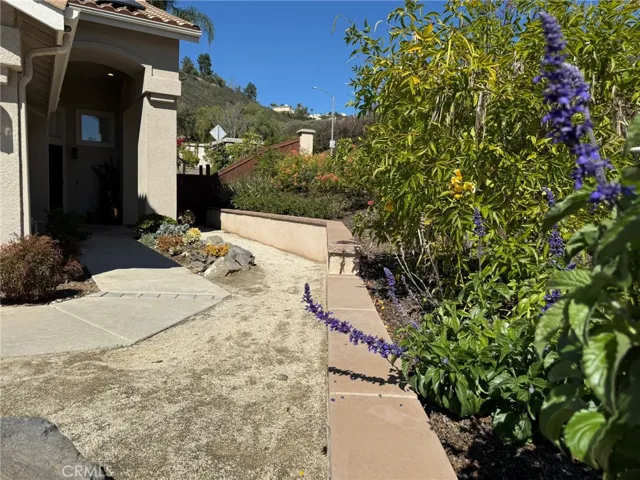Front Yard Landscaping