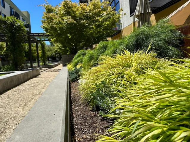 88 Bush Street 2149, San Jose, California 95126