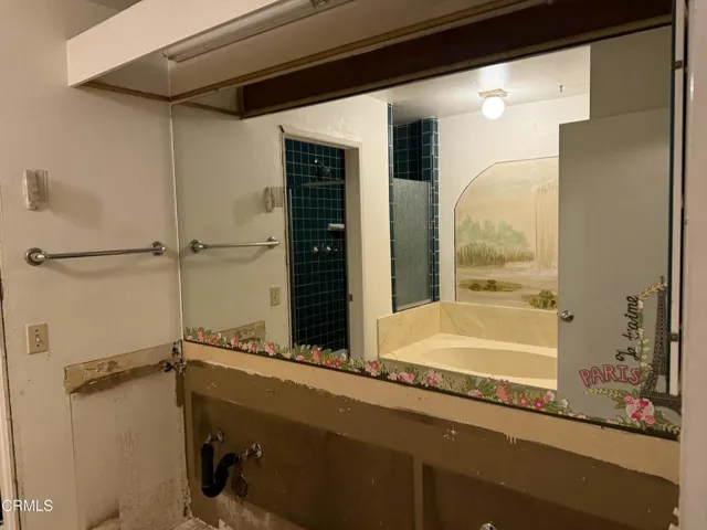 Primary Bath Area