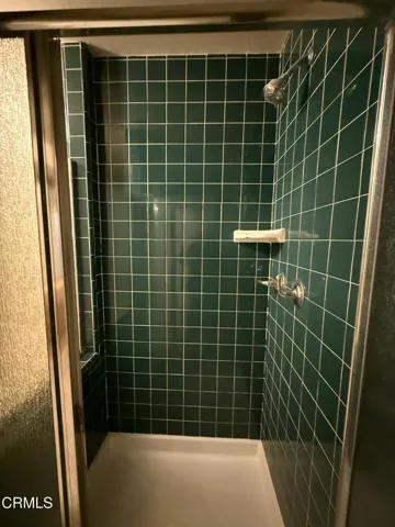 Primary Shower