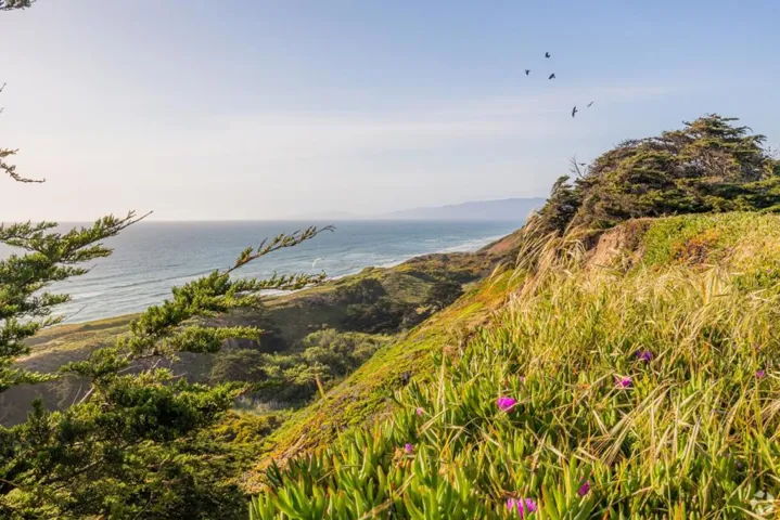 382 Northaven Drive, Daly City, California 94015