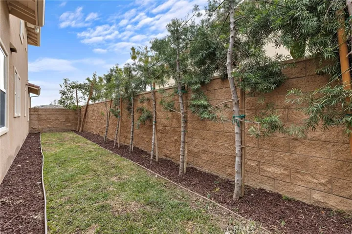 Private side yard dog run