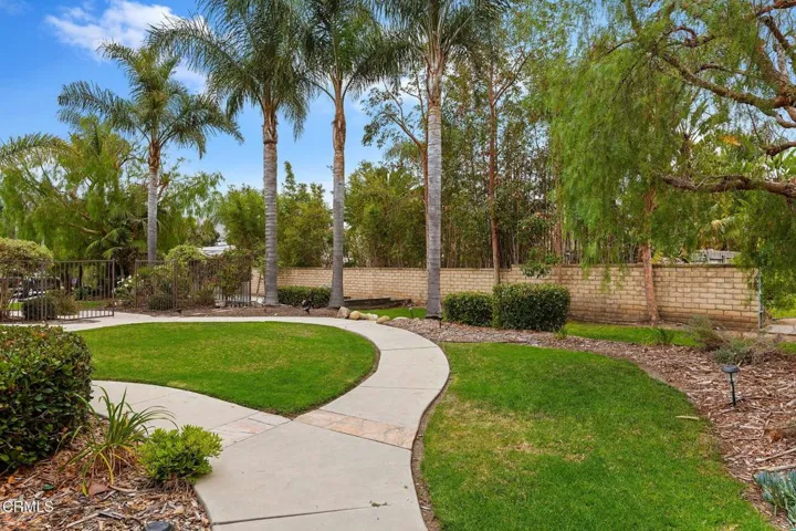 32-web-or-mls-32 - Side Yard