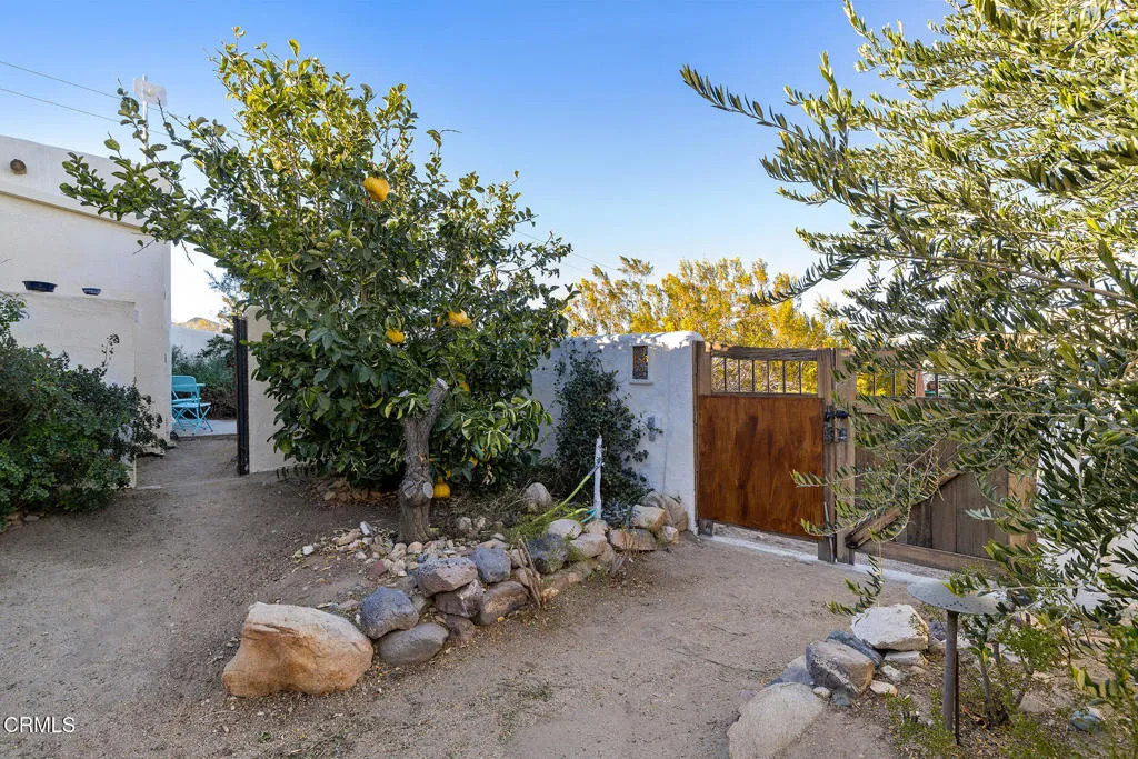 8485 Star Lane, Joshua Tree, California 92252 home-pic-2