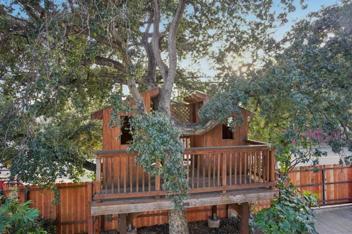 1698 Hampton Avenue, Redwood City, California 94061