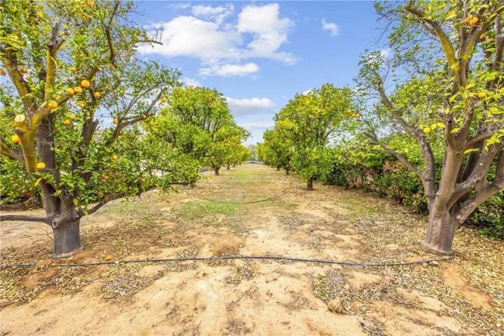 18019 Twin Lakes Drive, Riverside, California 92508