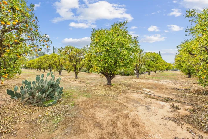 18019 Twin Lakes Drive, Riverside, California 92508