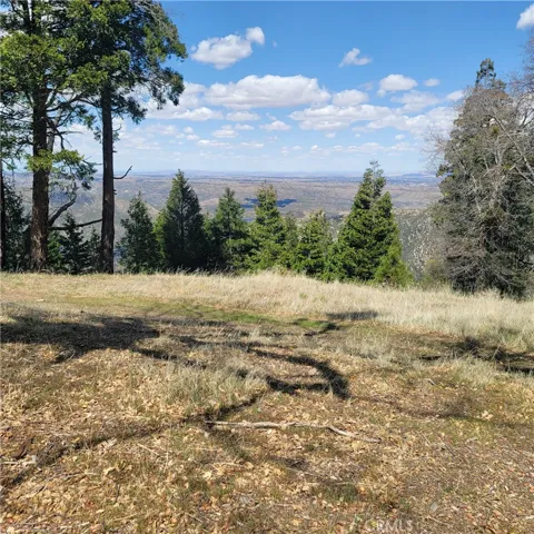 View from the Property