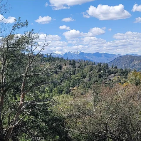 View from the Property