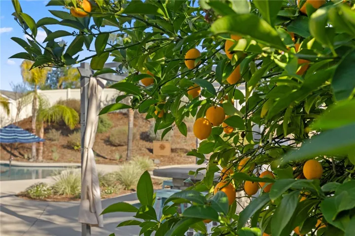 32805 Tulip Ranch Circle, Winchester, California 92596