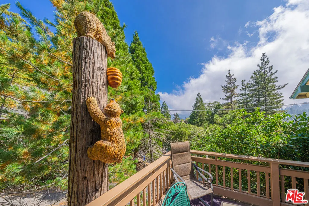 676 Zurich Drive, Lake Arrowhead, California 92352 home-pic-57