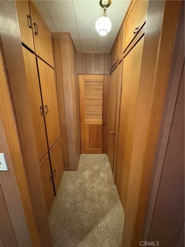 Lower Level Ample Storage and Linen Cabinetry Area