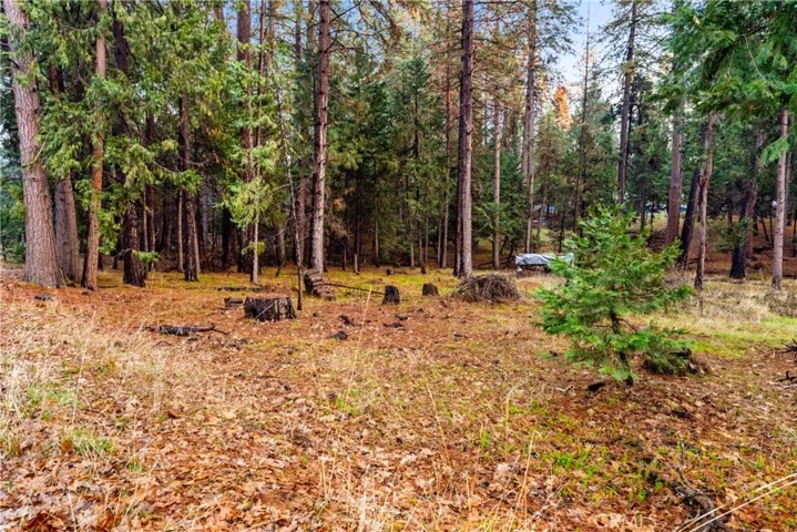 1 Old Madrone Road, Pioneer, California 95666