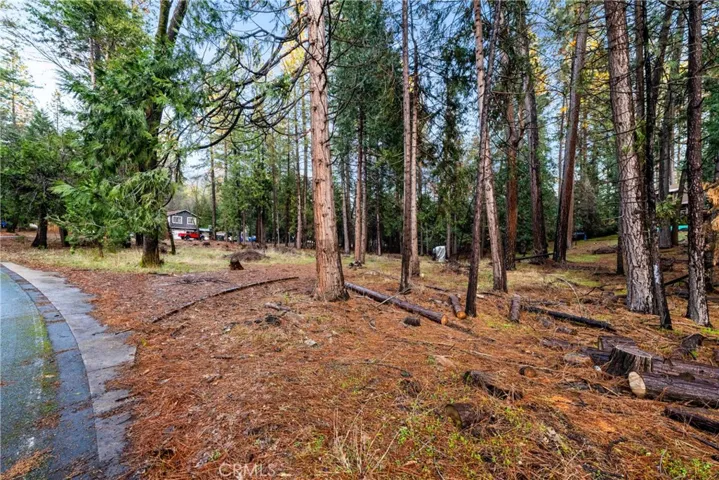 1 Old Madrone Road, Pioneer, California 95666