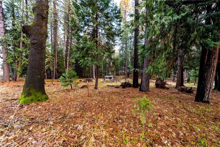 1 Old Madrone Road, Pioneer, California 95666