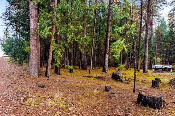 1 Old Madrone Road, Pioneer, California 95666