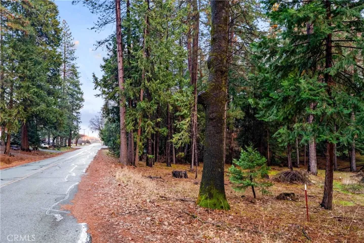 1 Old Madrone Road, Pioneer, California 95666