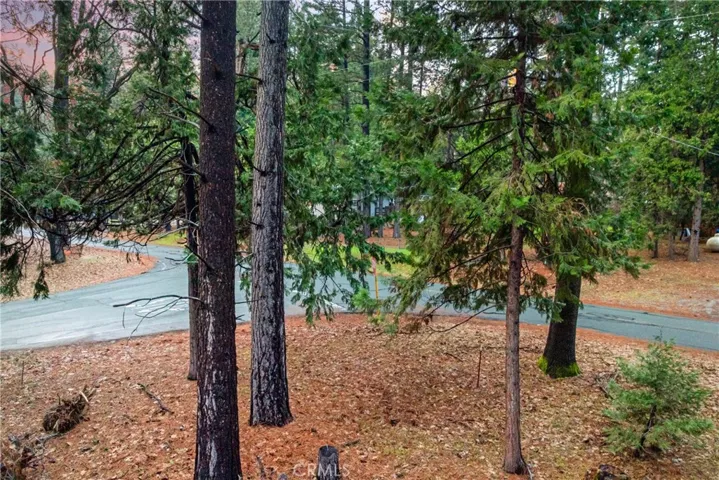 1 Old Madrone Road, Pioneer, California 95666