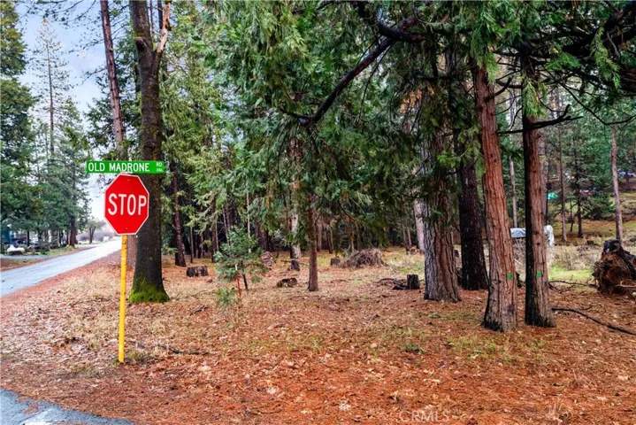 1 Old Madrone Road, Pioneer, California 95666