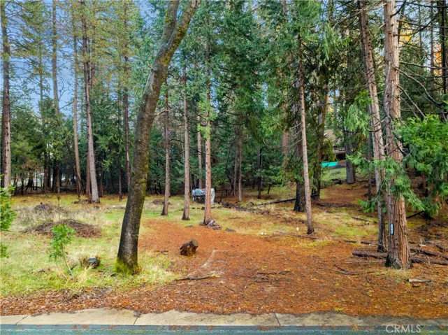 1 Old Madrone Road, Pioneer, California 95666