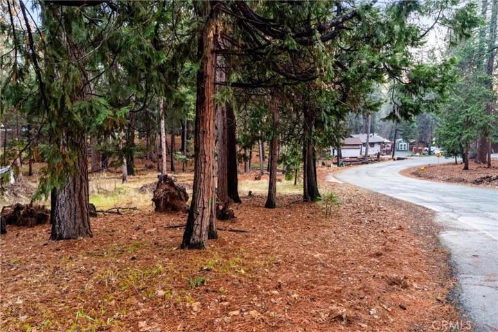1 Old Madrone Road, Pioneer, California 95666