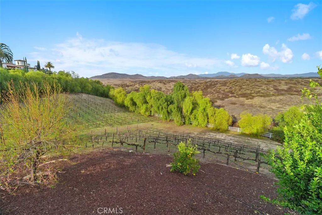 39526 Calle Cabernet, Temecula, California 92591 home-pic-52
