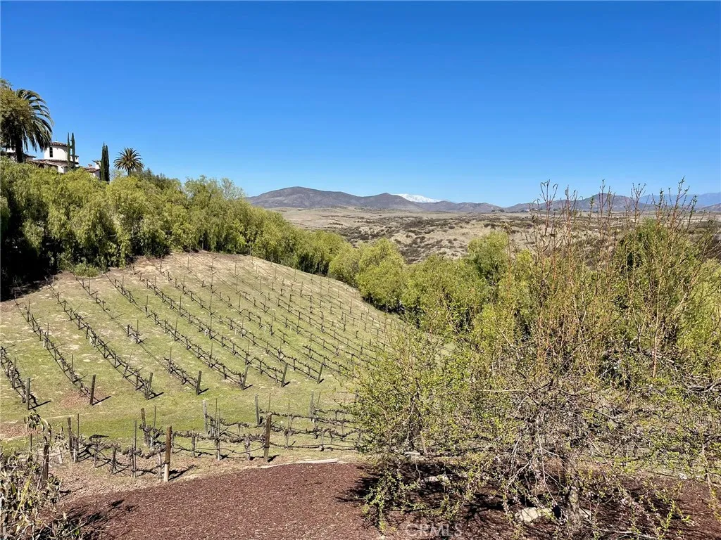 39526 Calle Cabernet, Temecula, California 92591 home-pic-48