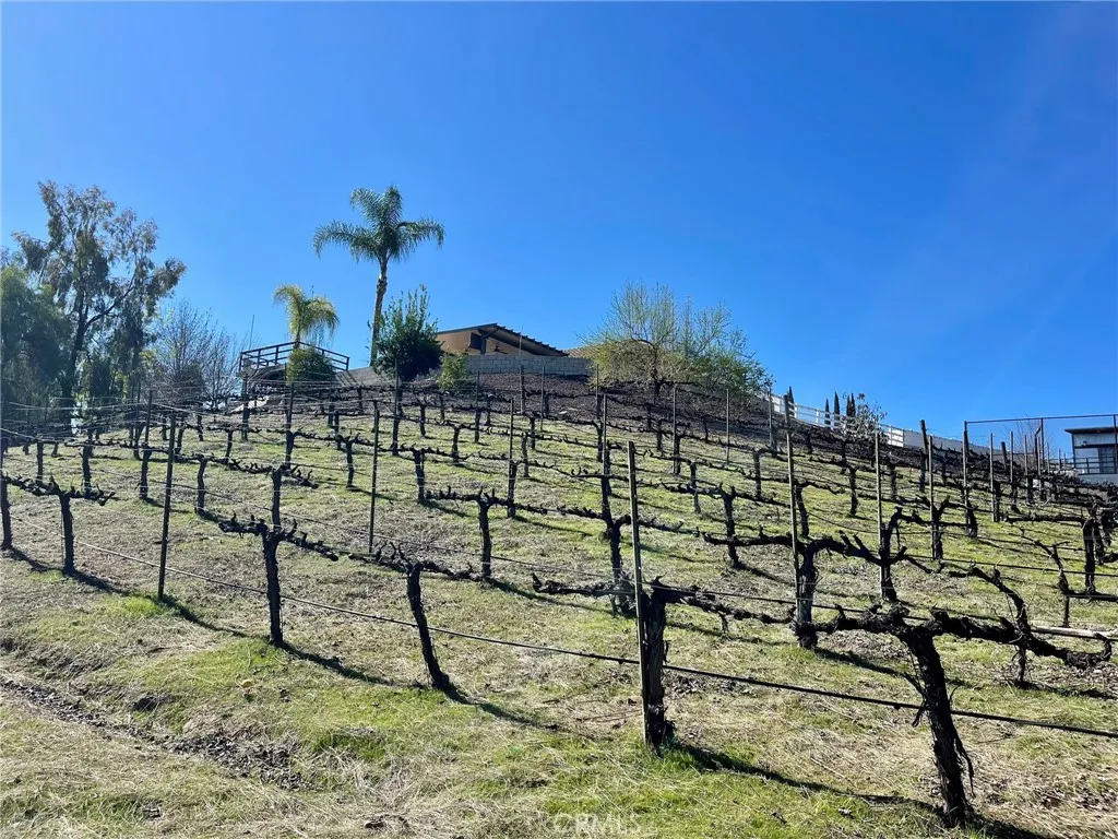 39526 Calle Cabernet, Temecula, California 92591 home-pic-49
