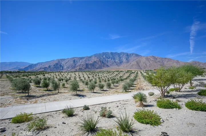 Miralon Resort Amenities