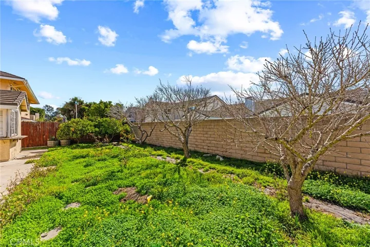 Back Yard with fruit trees