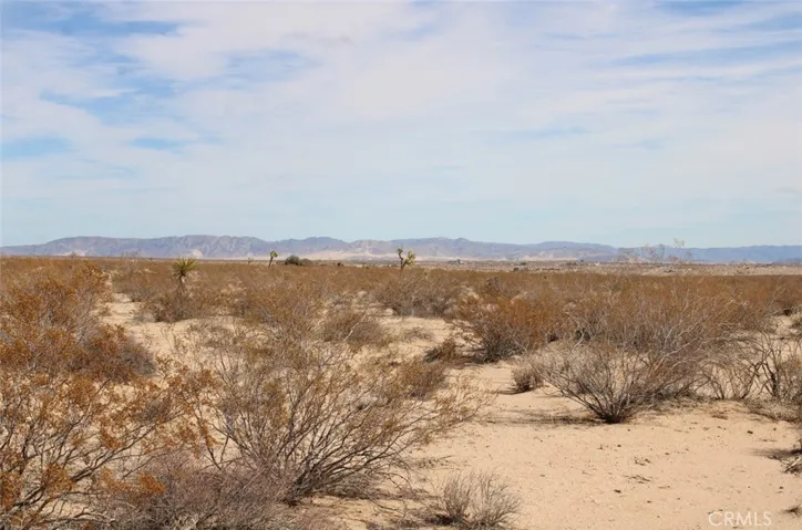62555 Sonora Road, Joshua Tree, California 92252