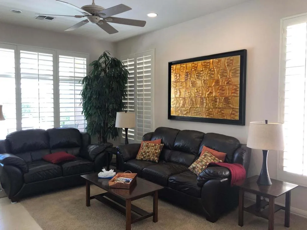 Fan Palm 5