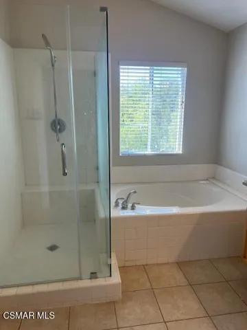 Primary shower and tub