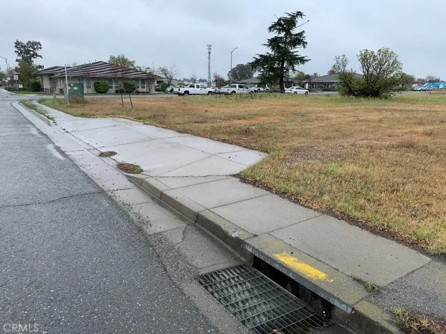 0 Cortina / South Drive, Orland, California 95963