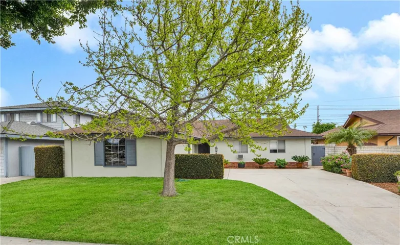 Nice Curb Appeal with Lawn and Shade Tree