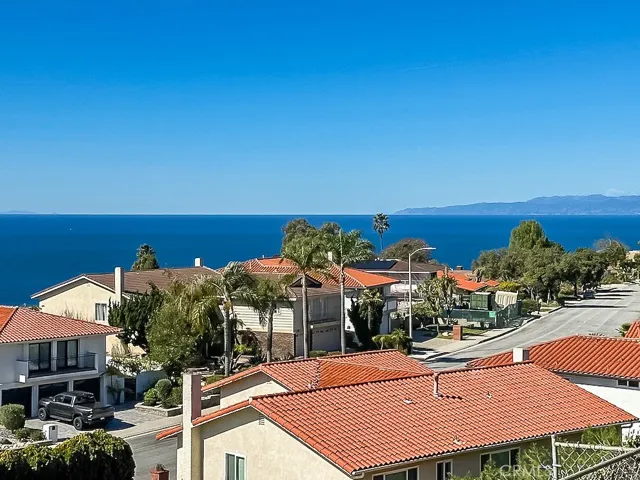 Panoramic View
