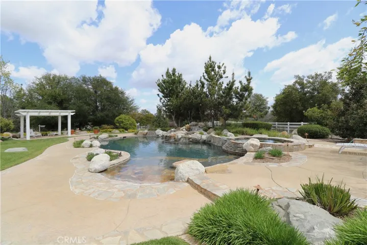 Custom designed pool & spa.