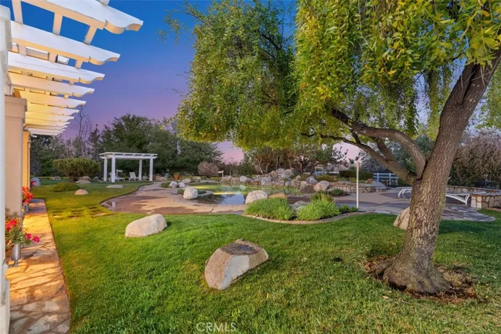 Back yard off the patio area.