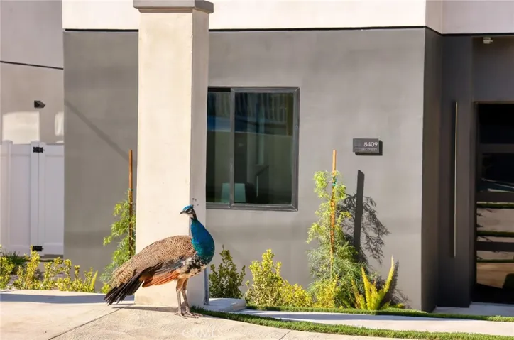 8409 Cora Street, Sunland, California 91040