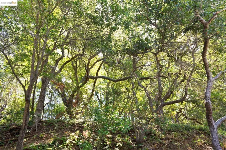 3 Mountain View Pl, Lafayette, California 94549