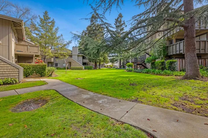 redwood lined walking paths throughout the complex