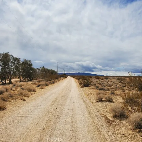 Powerlines along dirt road
