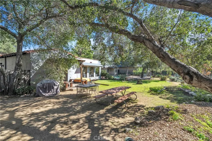 Main House Backyard