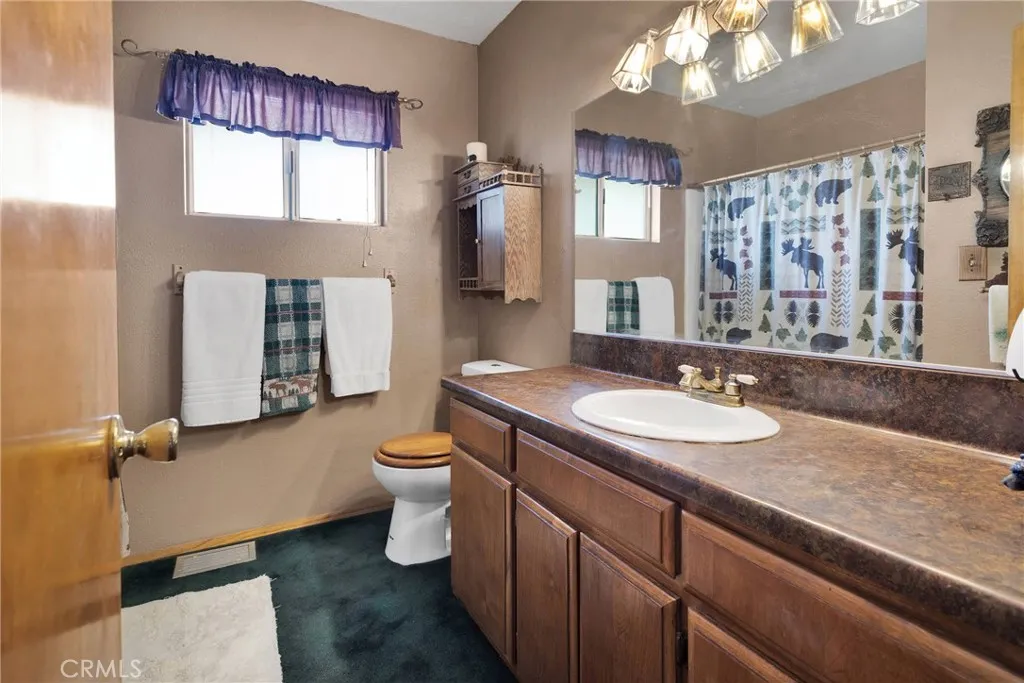 2329 E Canyon Drive, Wrightwood, California 92397 home-pic-24