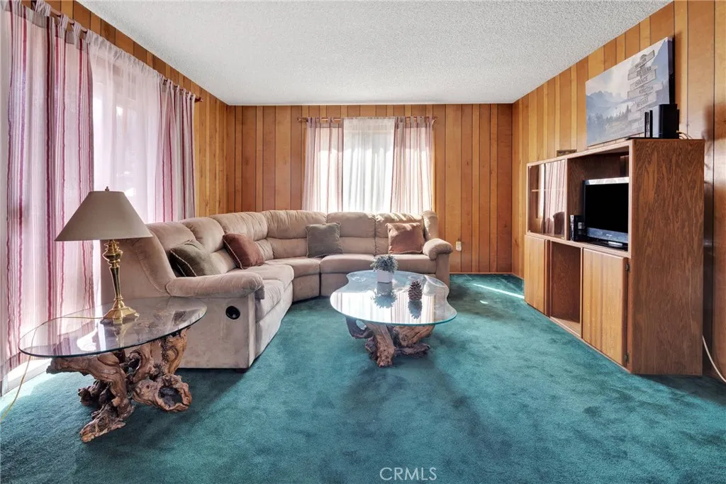 2329 E Canyon Drive, Wrightwood, California 92397 home-pic-7